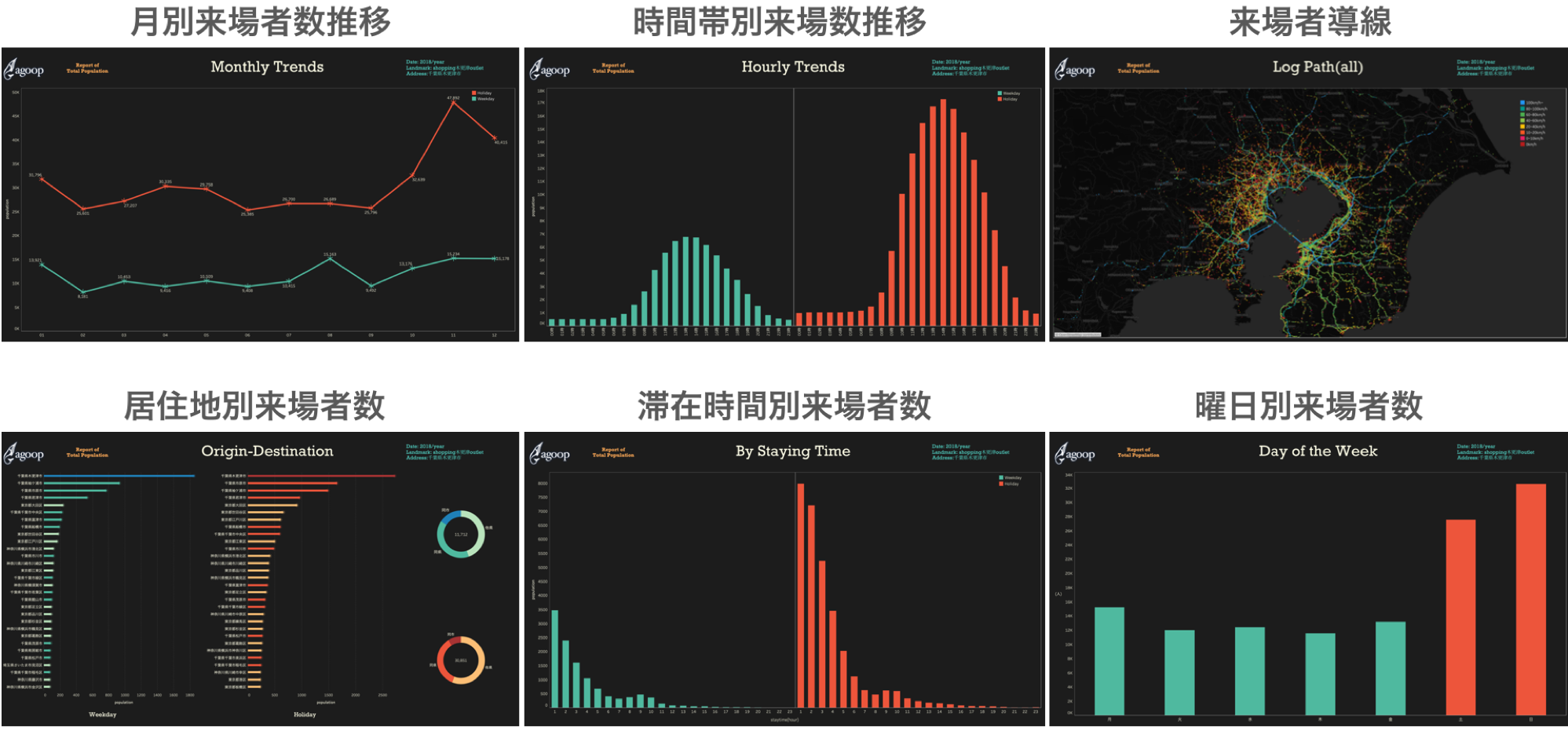 「Papilio」の代表分析例
